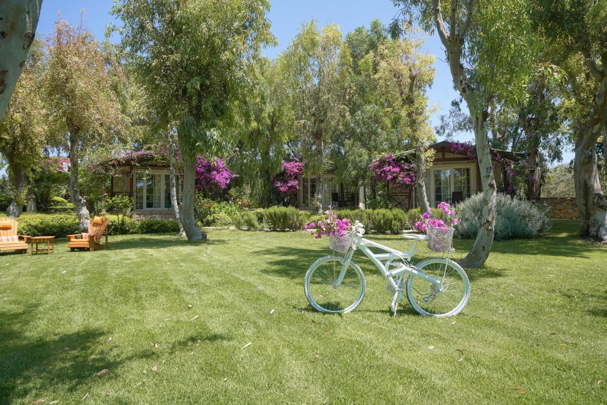 Datca Dirik Surf Beach Hotel מראה חיצוני תמונה